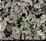 Πυριτικό άλας sapo-34 αργιλίου φωσφόρου Zeolite καταλύτης για το χωρισμό προσρόφησης αερίου