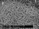 Zeolite NA Υ αλκαλικό αργιλικό άλας πυριτίου στους κόκκους για την ξήρανση γλυκόλης προπυλενίου